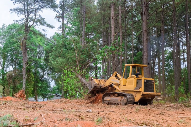 Building Site Clearing in Katy, TX