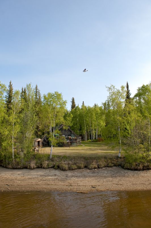 Field Clearing in Marietta, GA